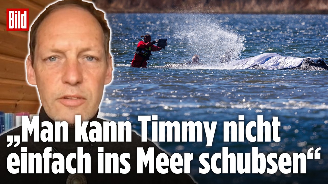 DRAMA UM OSTSEE-WAL: Experte warnt vor Muskelschäden nach Stillstand im Wasser