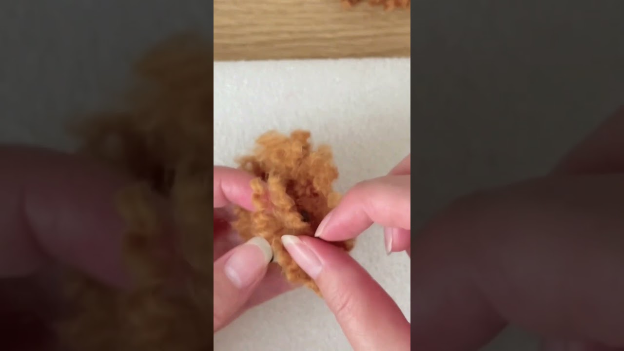 羊毛トイプー♡ 　#syorts #トイプードル