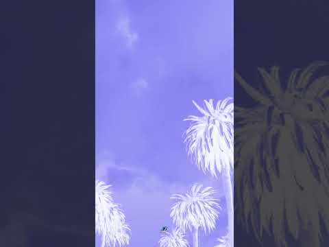 #latin #trap #music #instrumental #fypシ #duet #musicproducer Spanglish