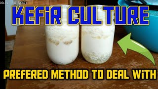 Prefered Method to Deal with Kefir Over Fermentation