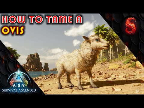 ARK SURVIVAL ASCENDED WHERE TO FIND AND HOW TO TAME OVIS