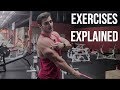 My Top 6 Shoulder Exercises