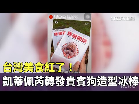 台灣美食紅了！　凱蒂佩芮轉發貴賓狗造型冰棒