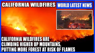 California wildfires are climbing higher up mountains, putting more forest at risk of flames