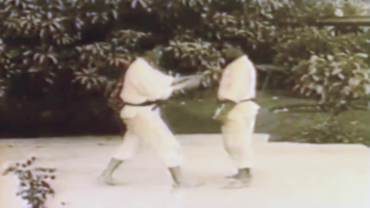 Danzan ryu Jujitsu Documentary