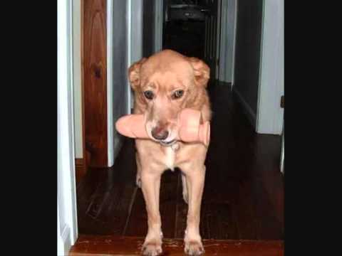 King Azzen feat. Danny Crash DU Hure!!!