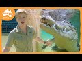 Robert Irwin Shows Us The Real Stars Of The Show Irwin Family Adventures