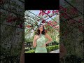 Tunisha Sharma ️ Looking Hot Tunishasharma Missyou Alibaba Lovestatus Shorts Viral Yt