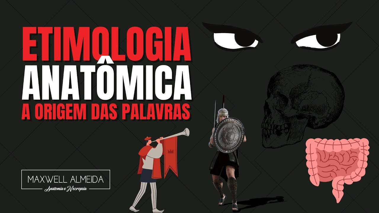 O Que Significa Anatomia Etimologicamente O Que Significa Anatomia Etimologicamente