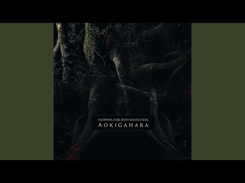 And There Is a Darkness