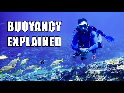 Mastering The Art of Buoyancy Control In Scuba Diving