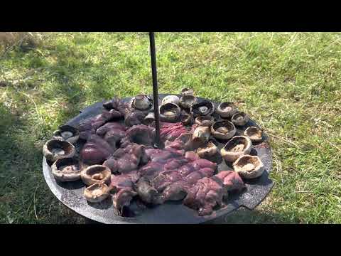 La Dunăre Garla Mare 2022