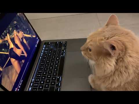 Bad idea, she's not a fan of Nicki Minaj