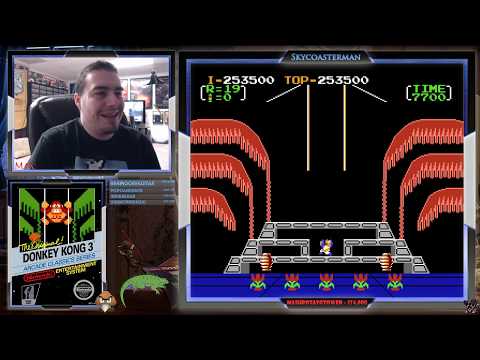 Donkey Kong 3 (NES) - Skycoasterman