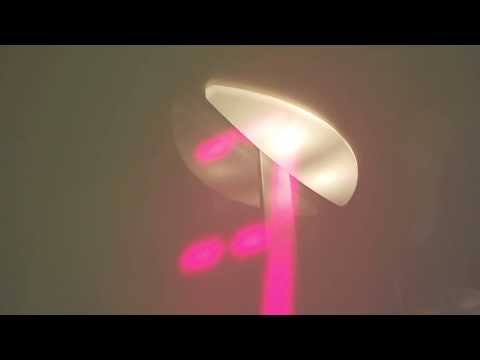 Full Hotel Tour of the Towne Place Suites Bloomington MN