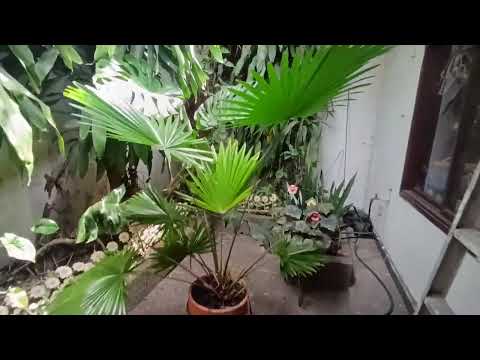 Casas, Venta, La Flora - $660.000.000