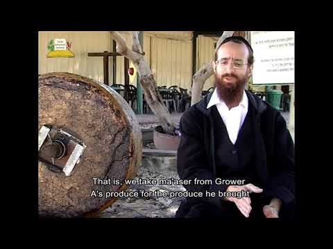 Olive press in Bnei Darom