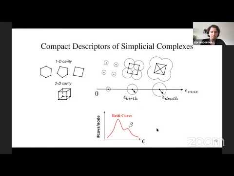 DVL Guest Lectures - Ciprian Corneanu
