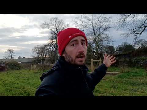 In-field trees project update #RangerLife