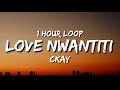 CKay - Love Nwantiti (1 Hour Loop) [TikTok Remix] | i am so obsessed i want to chop your nkwobi