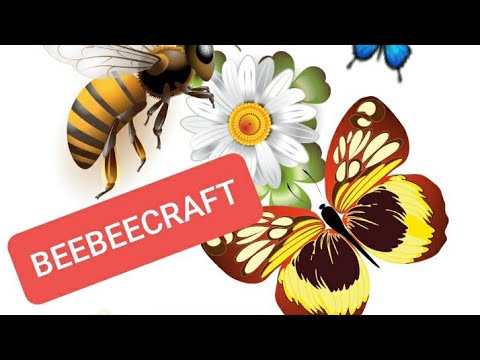 Beebeecraft Product Tutorial 🐝