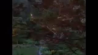 Orb web building by Olympic class spider