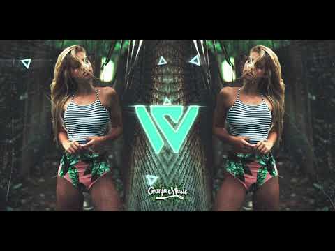 P A S H - ( RAIGUETSS x TDW x ONLY C ) 2021