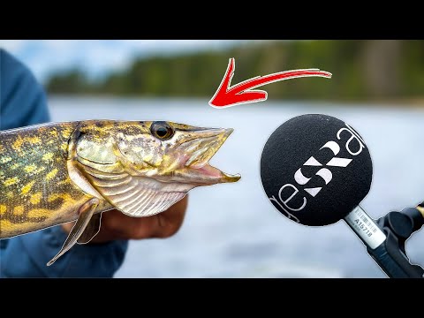 WIR BLAMIEREN UNS LIVE IM SCHWEDISCHEN RADIO - Behind the Scenes  | Team Galant