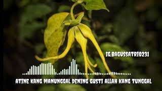 Download lagu STORY WA 'AJINING MANUNGSO'GUS IMM Audio spectrum mp3