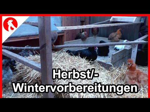 F198 Herbst+Wintervorbereitungen für Huhn + Halter ;-)     Jensman and the Huhns
