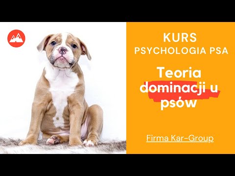 Kurs Psychologia Psa – Teoria Dominacji u Psów | Fakty, mity i nowoczesne podejście