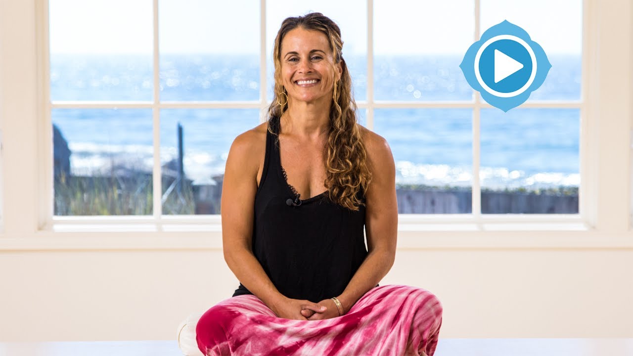 About Shelley Williams