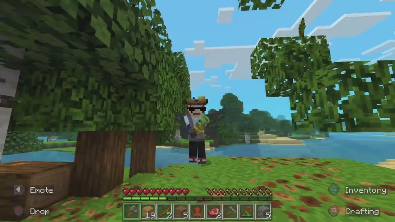 Play Video