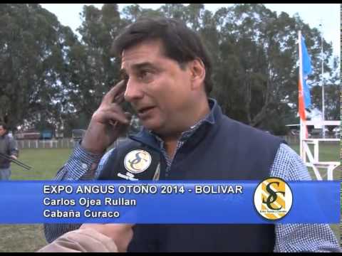 CARLOS OJEA RULLAN - Exposición Otoño Angus - 10/05/2014