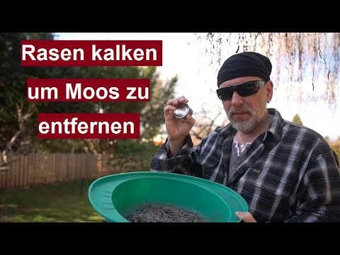 Rasen richtig kalken - Wann und Warum? Alternative Asche zum Rasenkalk  - Kalk um Moos zu entfernen