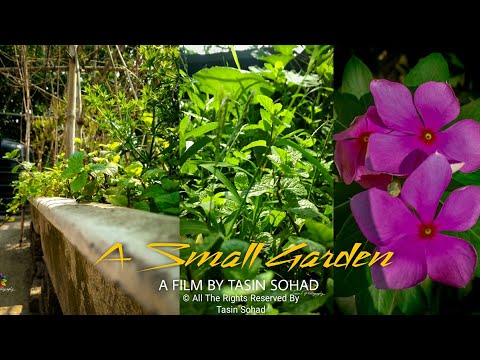 A Small Garden | A Film By Tasin Sohad