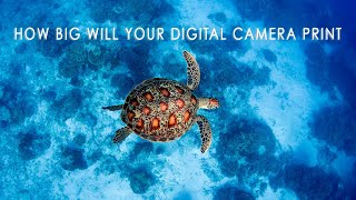 How Big Will Your Digital Camera Print? (you may be surprised)