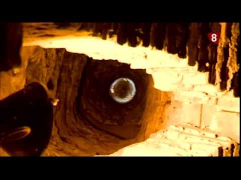 Bodega XVII Quintana del Pidio  13 10 15