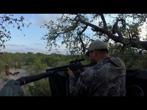 Taking the Umarex AirSaber Airgun For a Spin With Michael Wersig