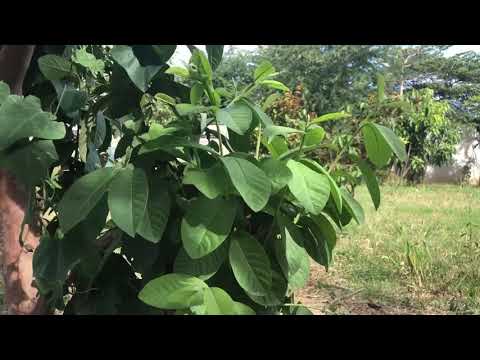 2020 12 19 09 55 IMG 0057