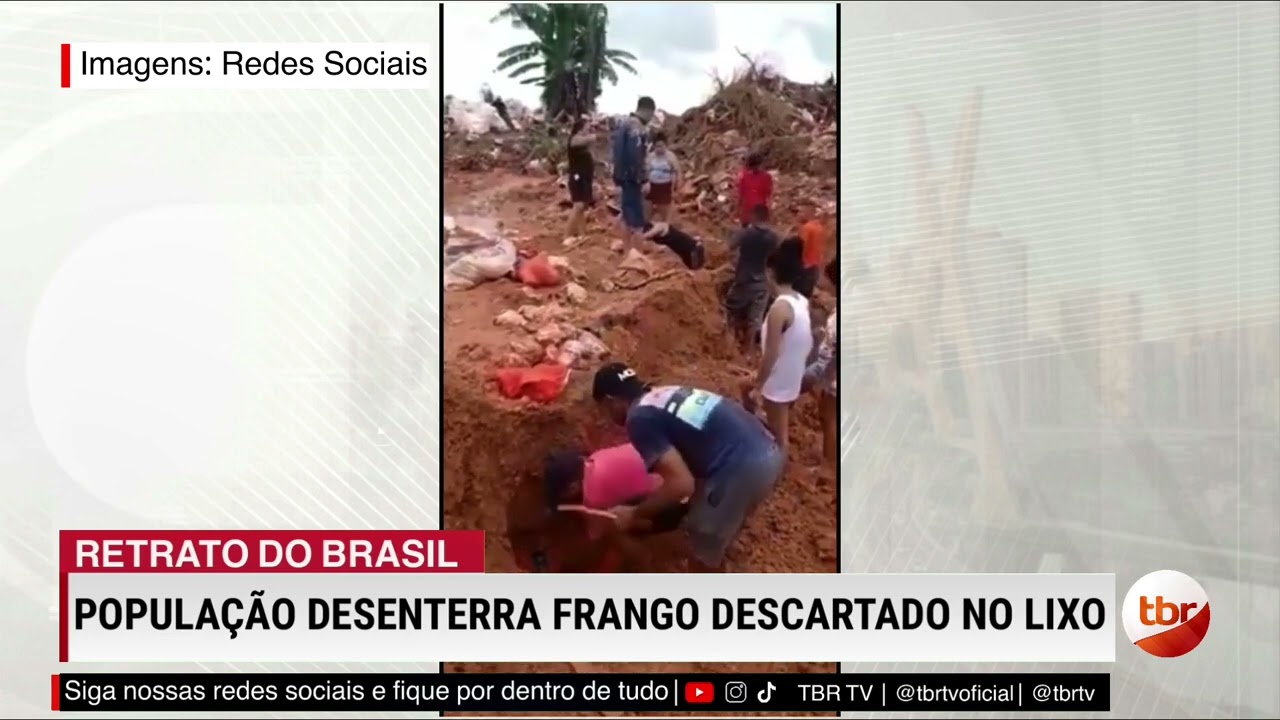 Frango impróprio para consumo é retirado de lixão em Humaitá após descarte sanitário