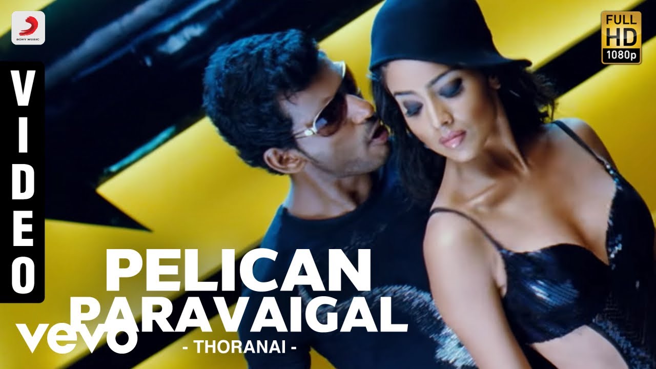 Pelican Paravaigal Song Lyrics | Thoranai | Ranjith, Rahul