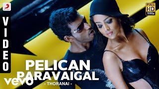 Thoranai - Pelican Paravaigal Video  Mani Sharma