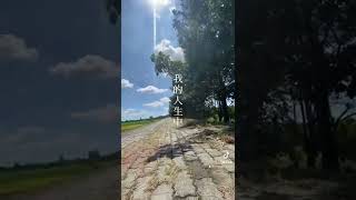 【台湾】【剩下8天】帰国まであと8日#台湾 #台湾留学 #shorts