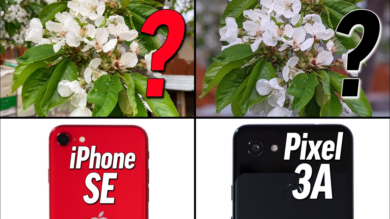 iPhone SE vs Pixel 3A Camera Comparison - Best for $399?