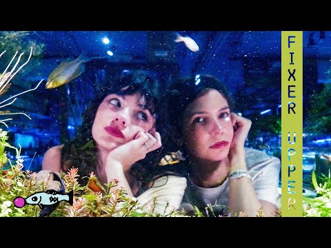 Pacifica - "Fixer Upper" (Official Video)