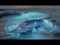 Tim Janis - Ocean Rose (HQ) 