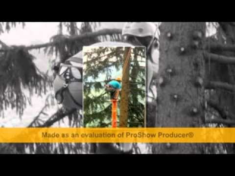 Ave Maria ciufy cover