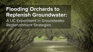 Flooding Orchards to Replenish Groundwater: A UC Experiment in Groundwater Replenishment Strategies