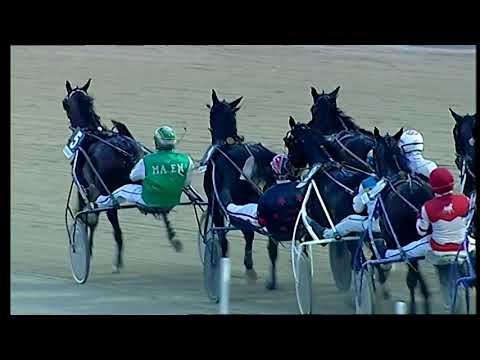 Napoli Trotto 31/10/2021 - 5ª corsa